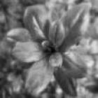 Bad Teacher Trailer Bad Teacher Trailer