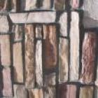 Some Guy Auditioned for American Idol by Singing the "Family Matters" Theme