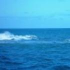 The AV Club's 50 Best Movies of the 1990s